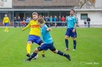 04.11.2018: TV Spöck- DJK Mühlburg