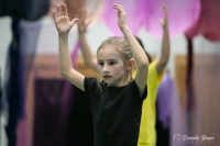 Variationen am Stepp_17