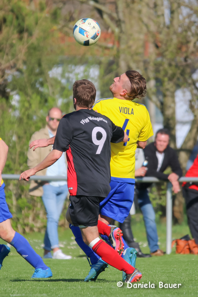 TV Spöck - FVgg Weingarten_36