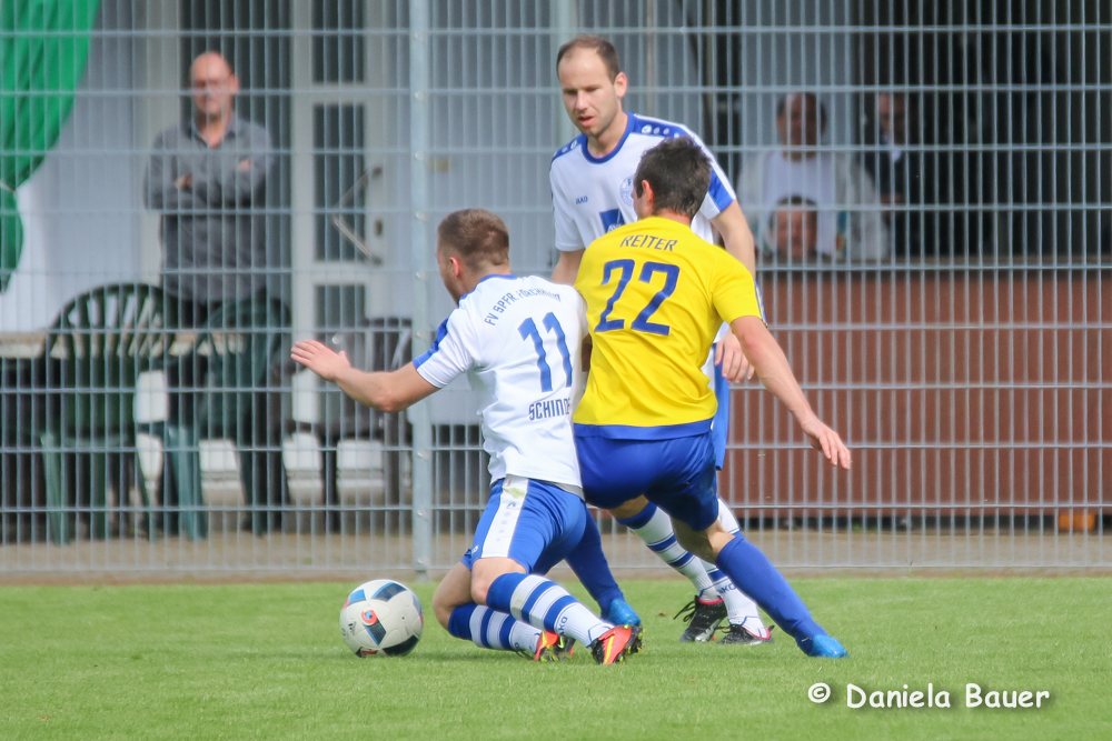 TV Spöck - Spfr- Forchheim_31