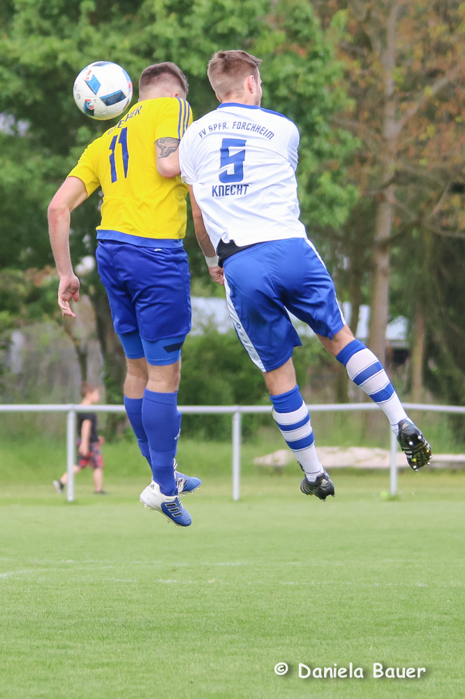 TV Spöck - Spfr- Forchheim_42